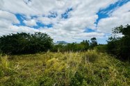 Gallery 01