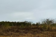 Gallery 01