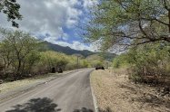 Gallery 01