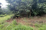 Gallery 01