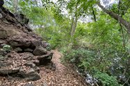 Gallery 01