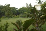 Gallery 01