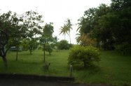 Gallery 01