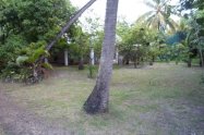 Gallery 01