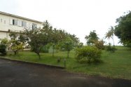 Gallery 01