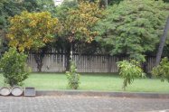 Gallery 01