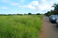 Gallery 01