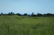 Gallery 01