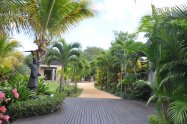 Gallery 01