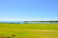 Gallery 01