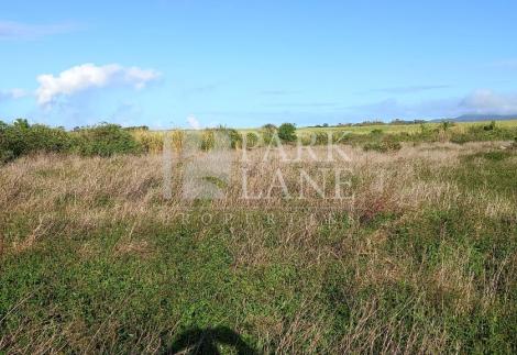 Agricultural land with great development potential