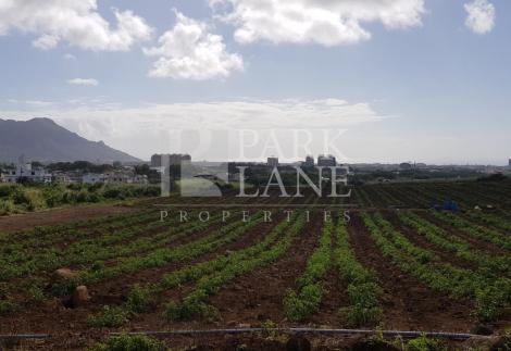 Agricultural plot with mountain view in Phoenix