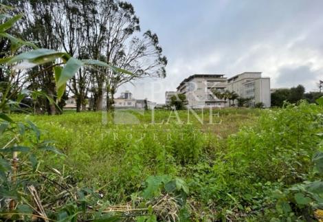 Prime development opportunity – 1.4 Acres in the heart of Curepipe