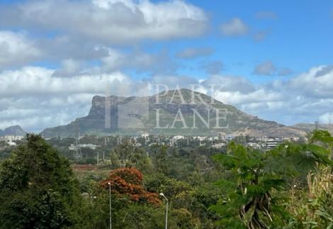 25 Acres of agricultural land with breathtaking views – Montagne Ory, Moka