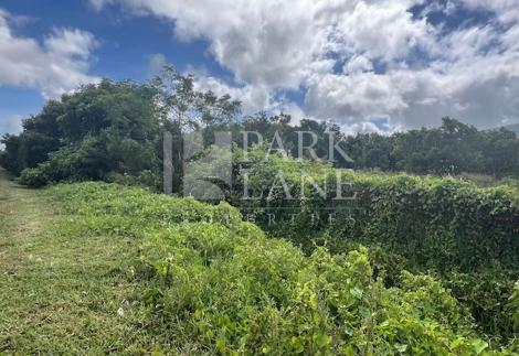 Commercial land in Vivea Business Park, Moka: safe investment and rare opportunity to seize quickly.