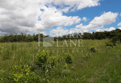 Exceptional agricultural land in Valentina: Panoramic mountain views