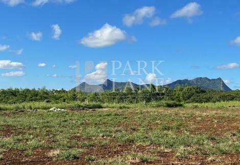 Exceptional investment opportunity: strategically located agricultural land in Valentina