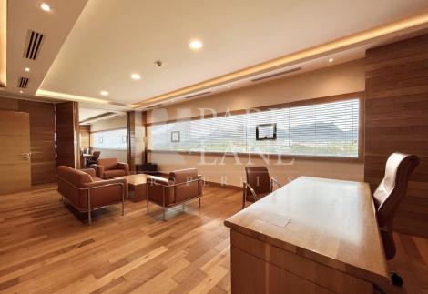 Furnished office space with panoramic views of Ebene