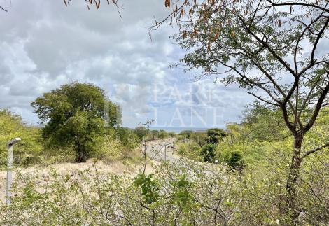 1-Acre Residential Plot for Sale in Domaine de Palmyre, Black River