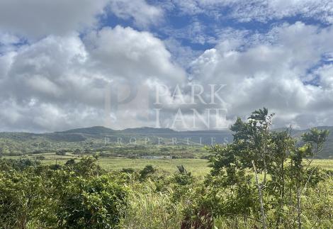 Agricultural Land for Sale in Chamouny, Mauritius – 20.80 Acres 