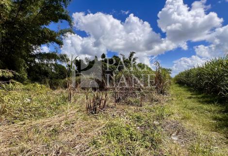 Scenic agricultural plot of 70 Perches in Petit Camp Valentina