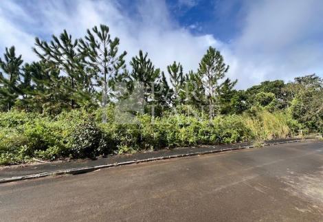 Build your dream home in the heart of Pleine de l’Hermitage 