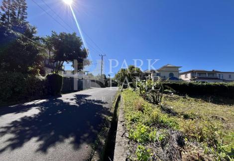 Hidden gem in the heart of Curepipe – Spacious plot on prestigious Lees Street