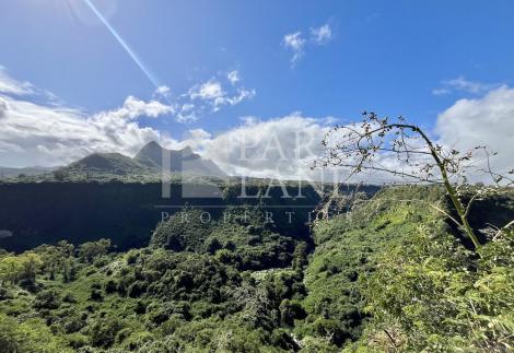 Spacious renovated property with annex – Prime location in Beau Bassin