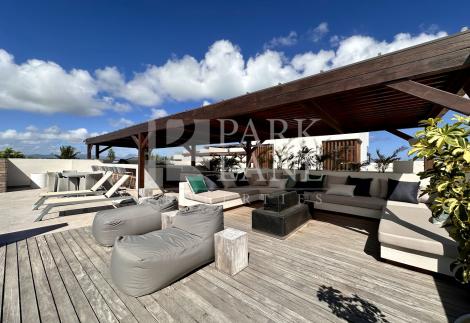 Luxury penthouse with sea view in Pointe aux Canonniers
