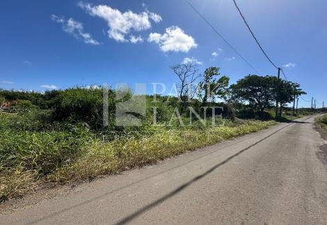 Prime Location 619m² Land for Sale at Petit Raffray.