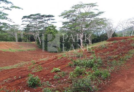 Agricultural plot with sea view
