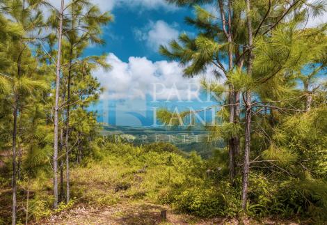 Magnificent and maintained plot with outstanding views