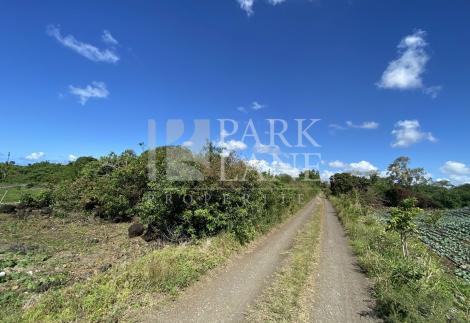 Large plot ideal for cultivation or other project