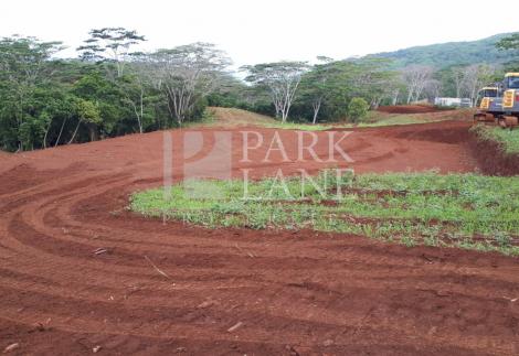 AGRICULTURAL PLOT WITH SEA VIEW