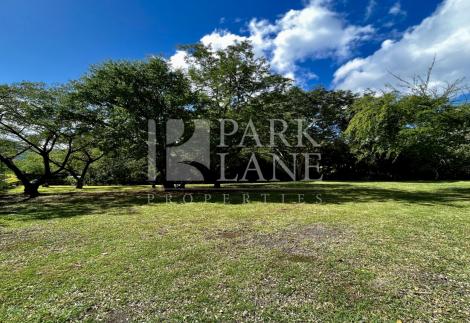 Splendid residential plot close to Bagatelle and the capital