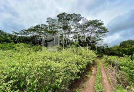 Chamarel - Peace, Space and Natural Beauty all Around