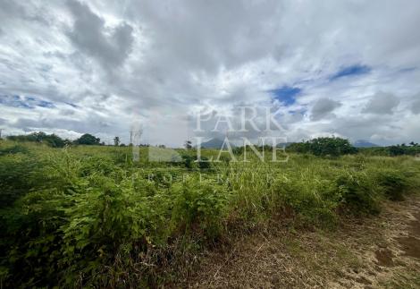 Agricultural land in Albion