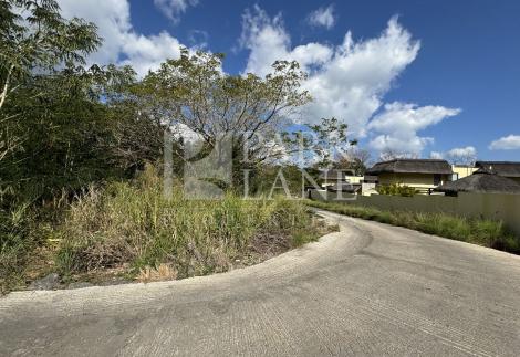 Discover your potential plot for project in Black River 