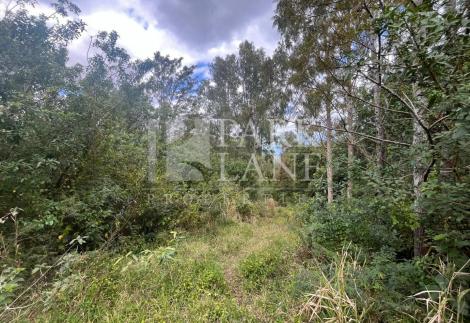 Agricultural land of 50 perches on the mountain