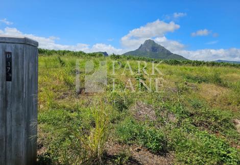 Prime Residential Land in the Heart of the West