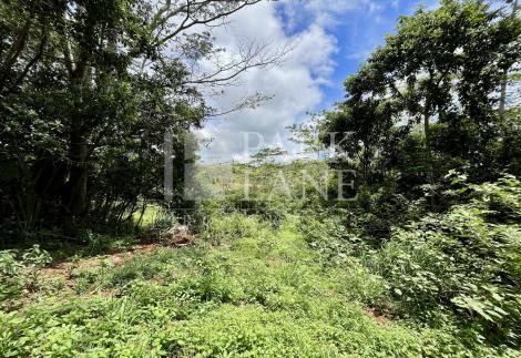 Agricultural land ideal for lodges