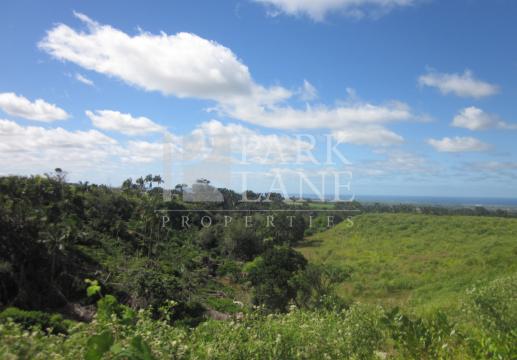 2,156 m² in Avalon – Elegant natural setting near the Golf Course
