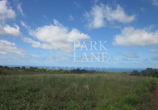 1,856 m² in Avalon – Nature and elegance near the golf