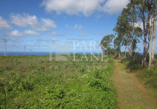 2057 m² in Avalon – Tranquil plot nestled in greenery near golf