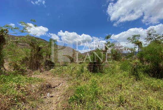 Agricultural land close to the Black River gorges