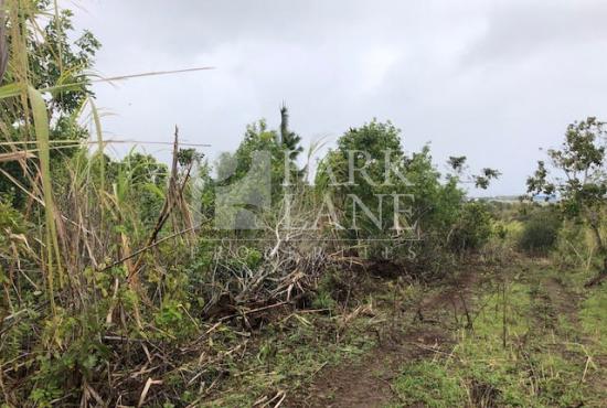 Land in a sought after location in Petit Camp - Phoenix