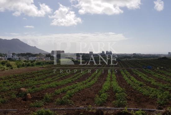 Agricultural plot with mountain view in Phoenix