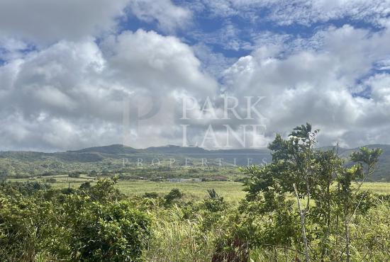Agricultural Land for Sale in Chamouny, Mauritius – 20.80 Acres 