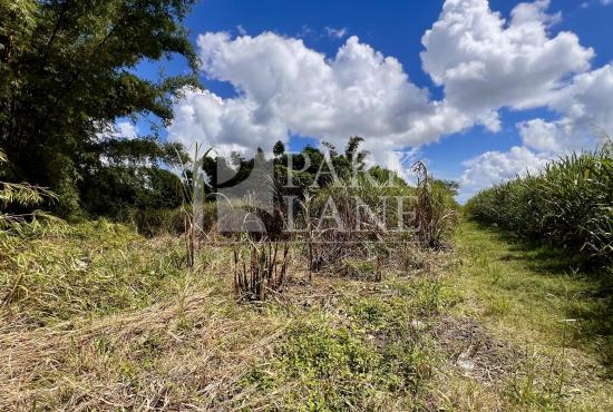 Scenic agricultural plot of 70 Perches in Petit Camp Valentina