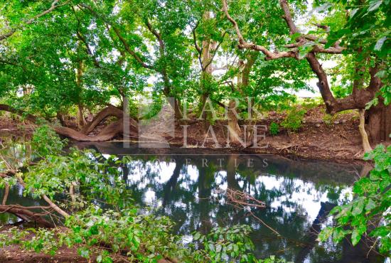 Land next to Beautiful River